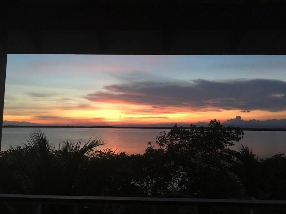 Bahia Vista - Spectacular Views - 4 Bedrooms Placencia Buitenkant foto